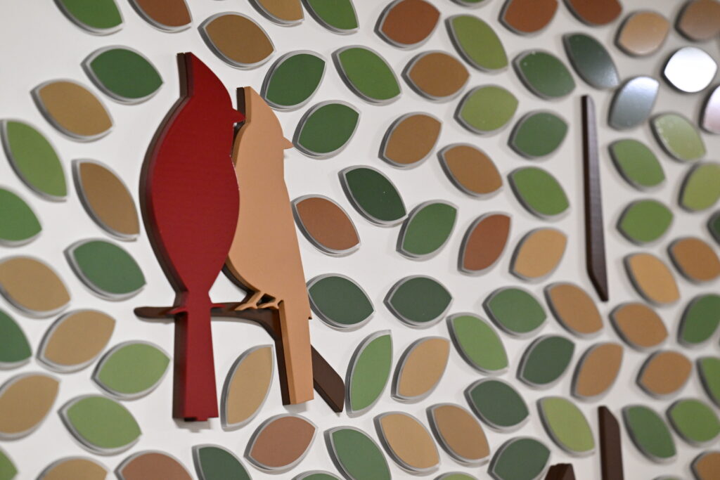 A close up of two birds sitting on a branch and the leaves on Infinite Legacy's donor memorial tree to honor donor heroes in Maryland, Washington, DC and Northern Virginia.